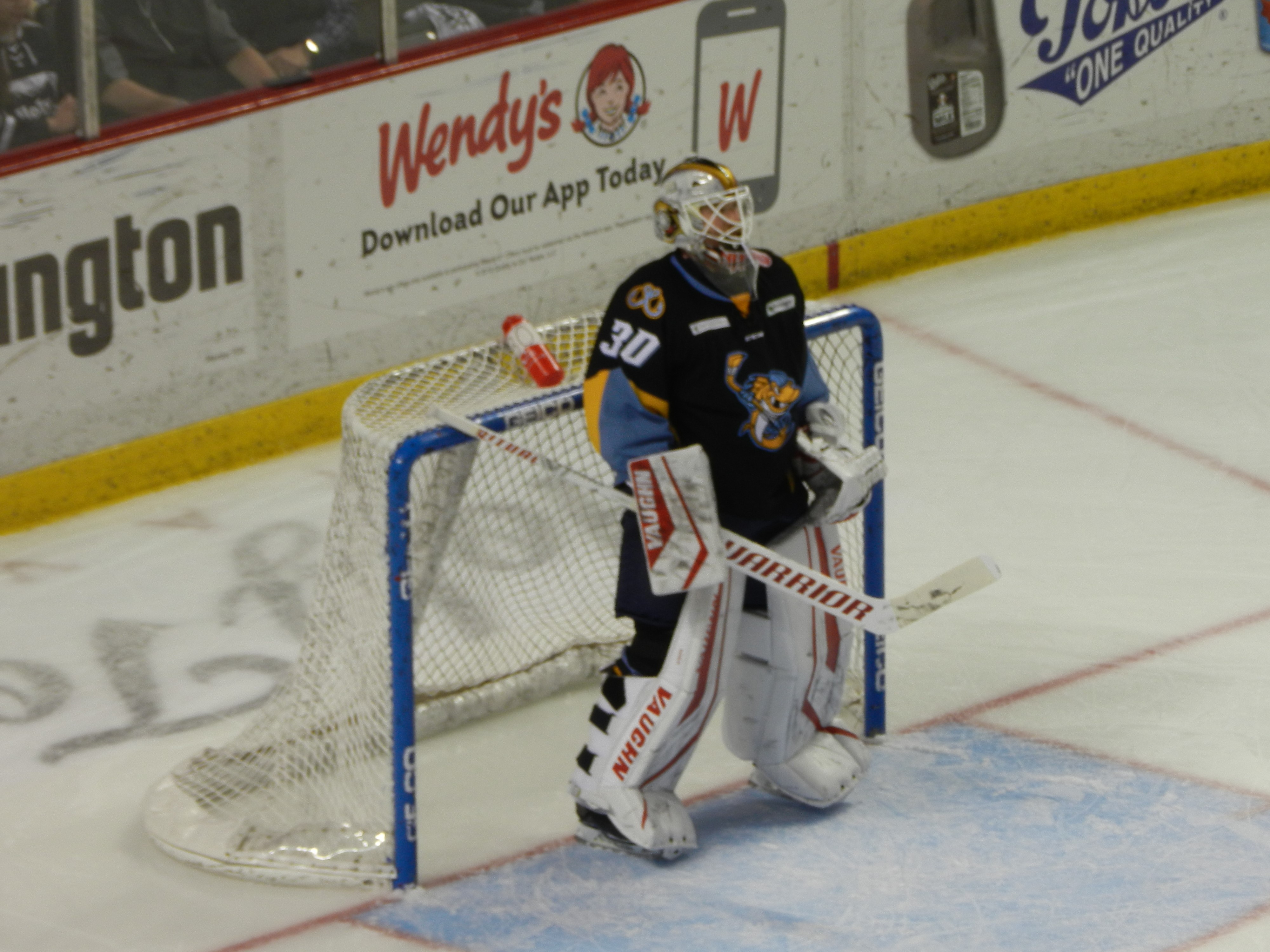 Toledo Walleye read the memo:  must win at home!