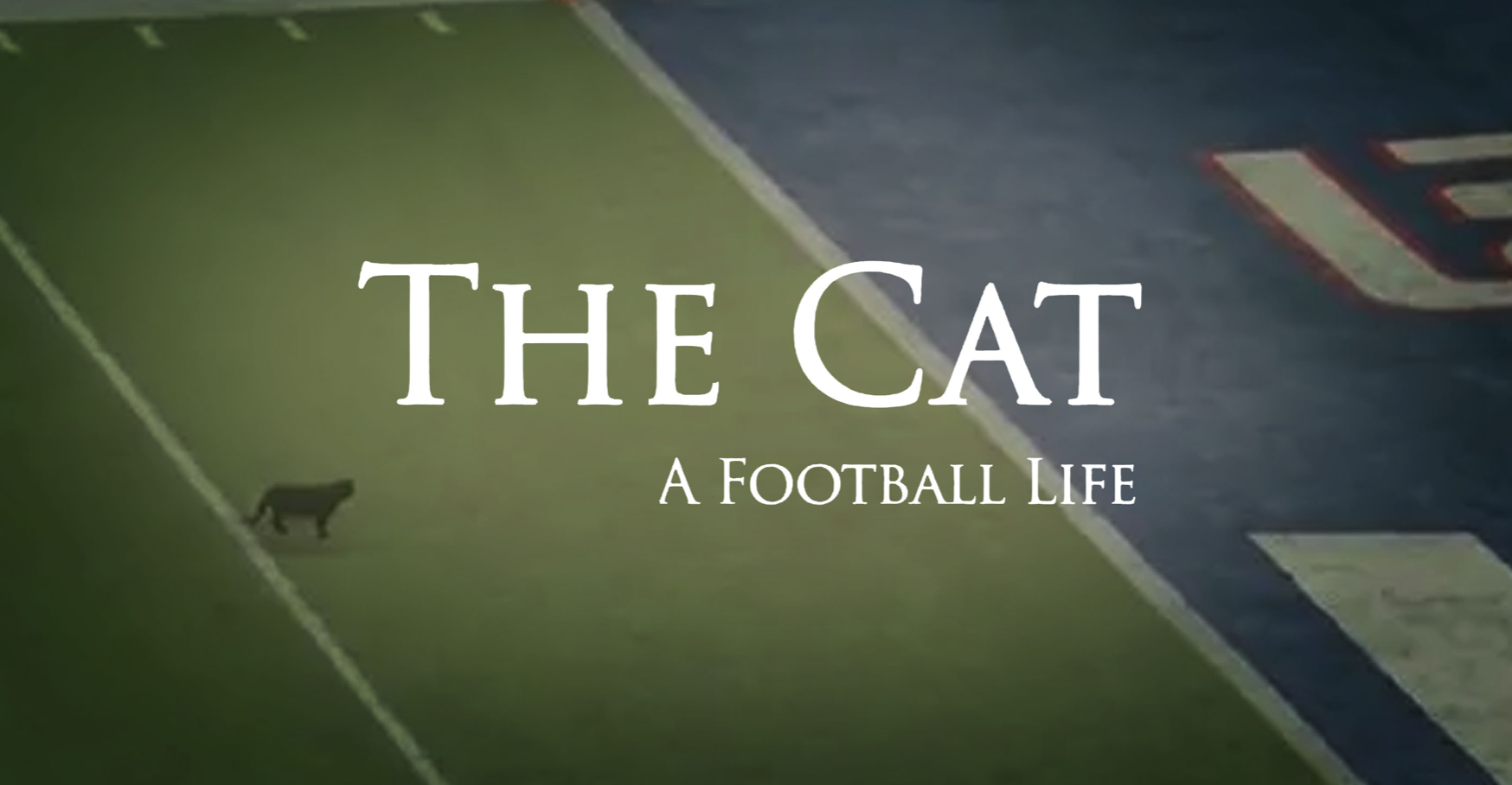 WATCH: There’s “A Football Life” Trailer For The MNF Cat & It’s Amazing