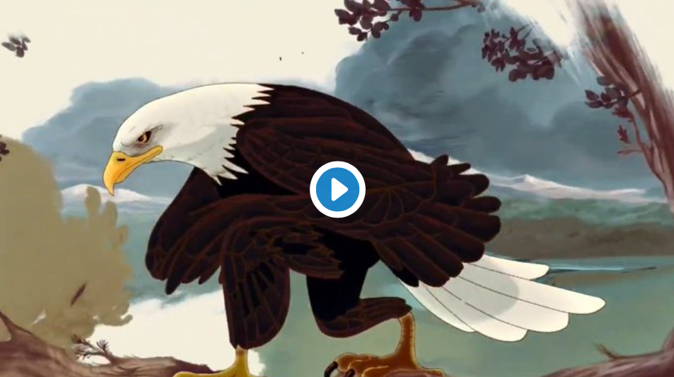 WATCH: Here’s The Kaepernick-Inspired PETA Ad That Won’t Be Allowed to Air During Super Bowl LIV