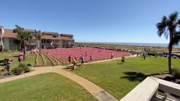 WATCH: Resort Breaks Guinness Record with 3,753 Plastic Flamingos