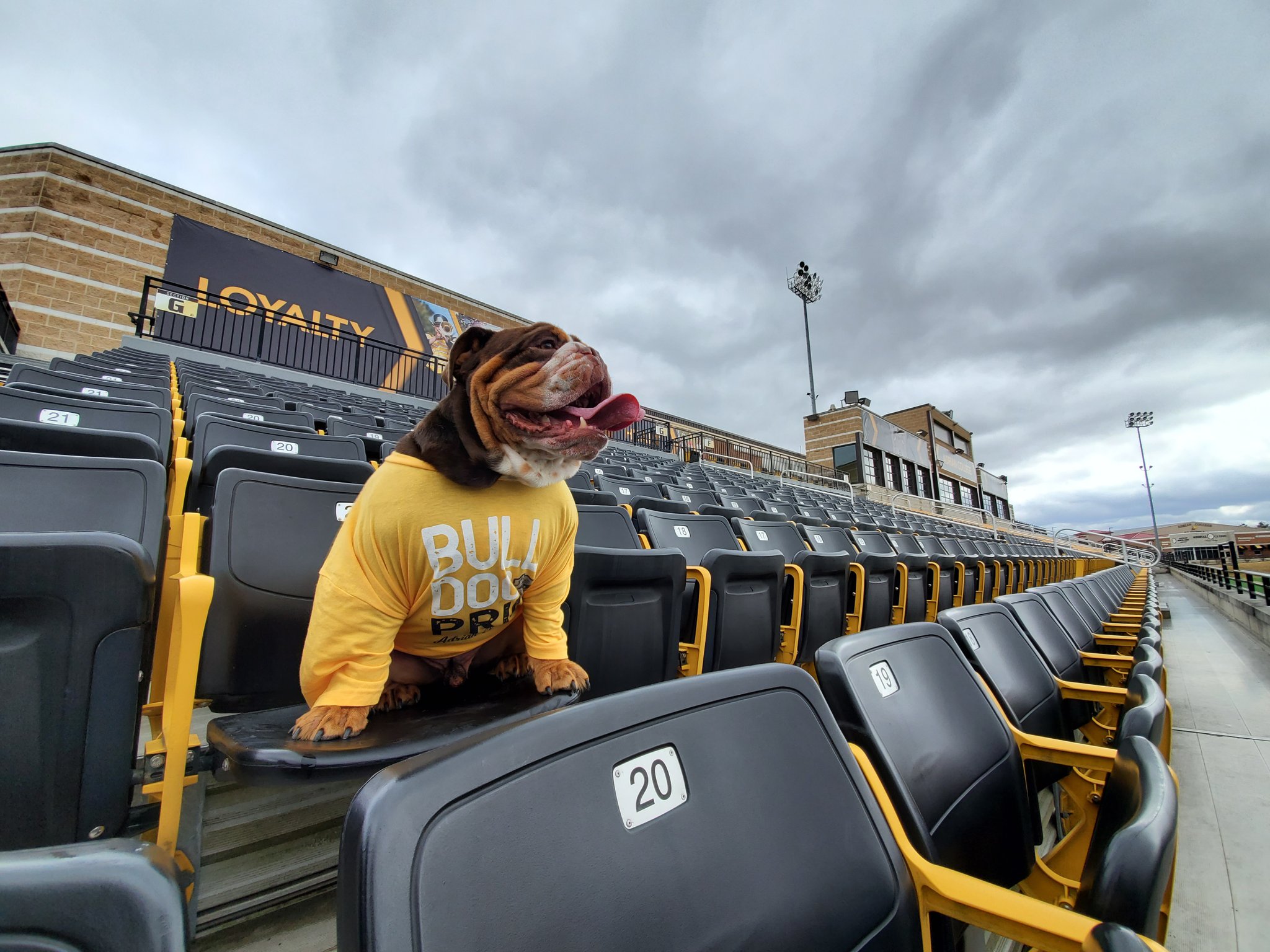 WATCH: Play-by-Play Announcer Gabriel Schray Announces for Bruiser the Bulldog