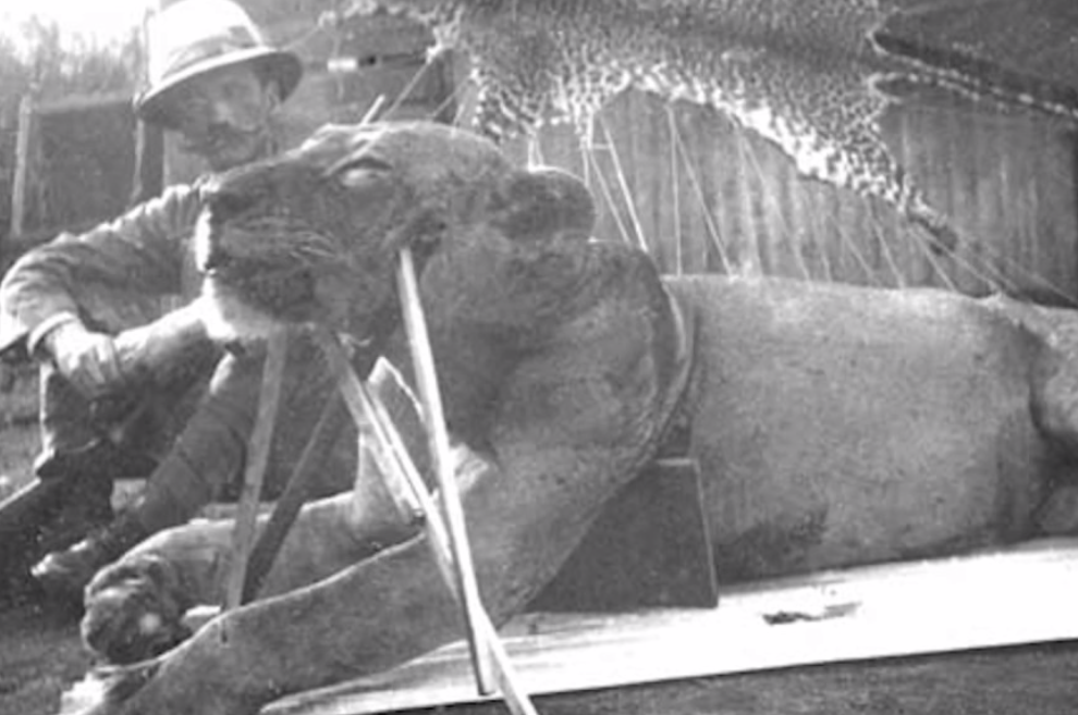 WATCH: The Unbelievable True Story of the Tsavo Man-Eaters