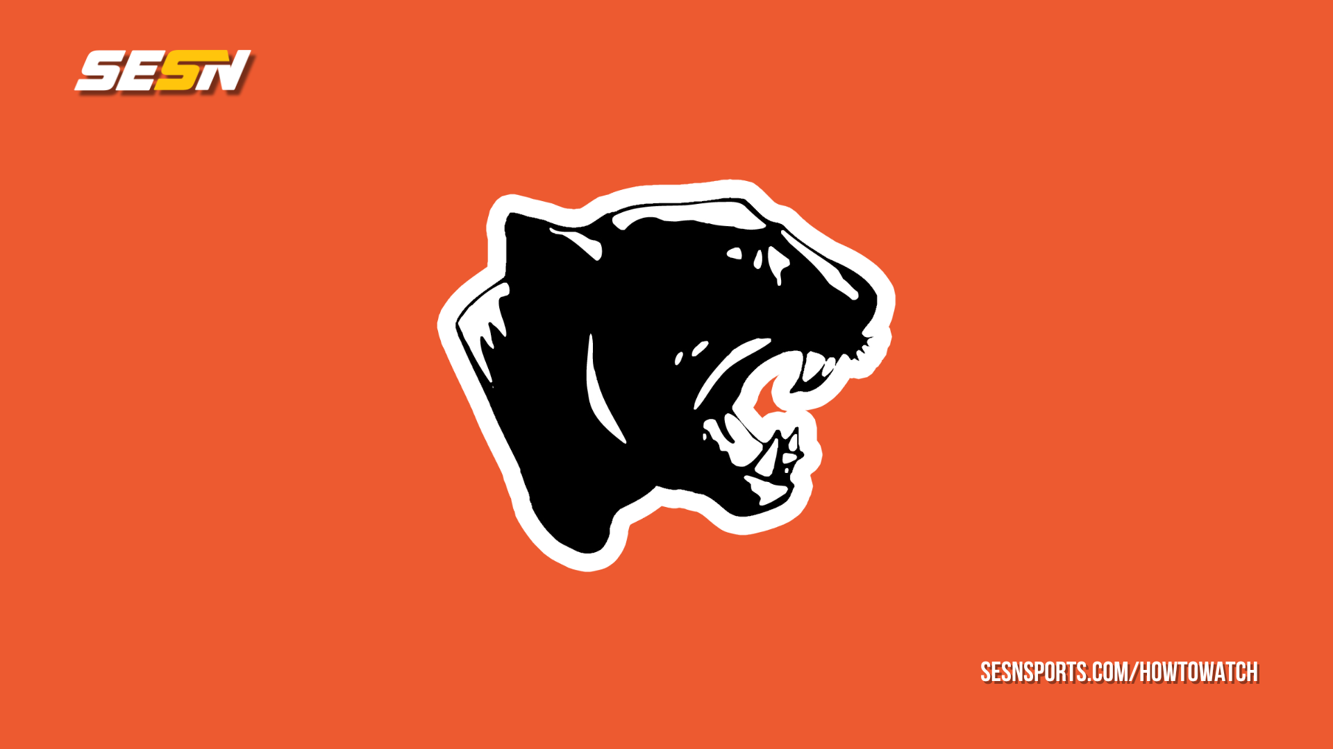 NSBN Announces 2026 Stockbridge Football Broadcast Schedule